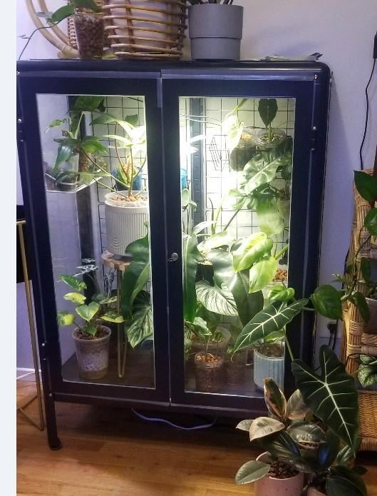 FABRIKÖR vitrinekast, zwartblauw, 81x113 cm, Ophalen, 50 tot 100 cm, Zo goed als nieuw, 150 tot 200 cm