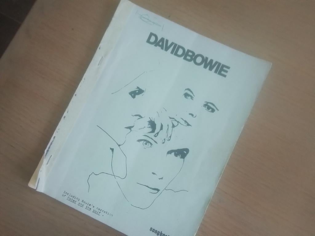 Songbook David Bowie, Ophalen of Verzenden, Gebruikt, Boek, Tijdschrift of Artikel