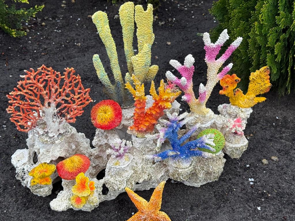 Prachtige vis rots, Dieren en Toebehoren, Ophalen of Verzenden, Zo goed als nieuw