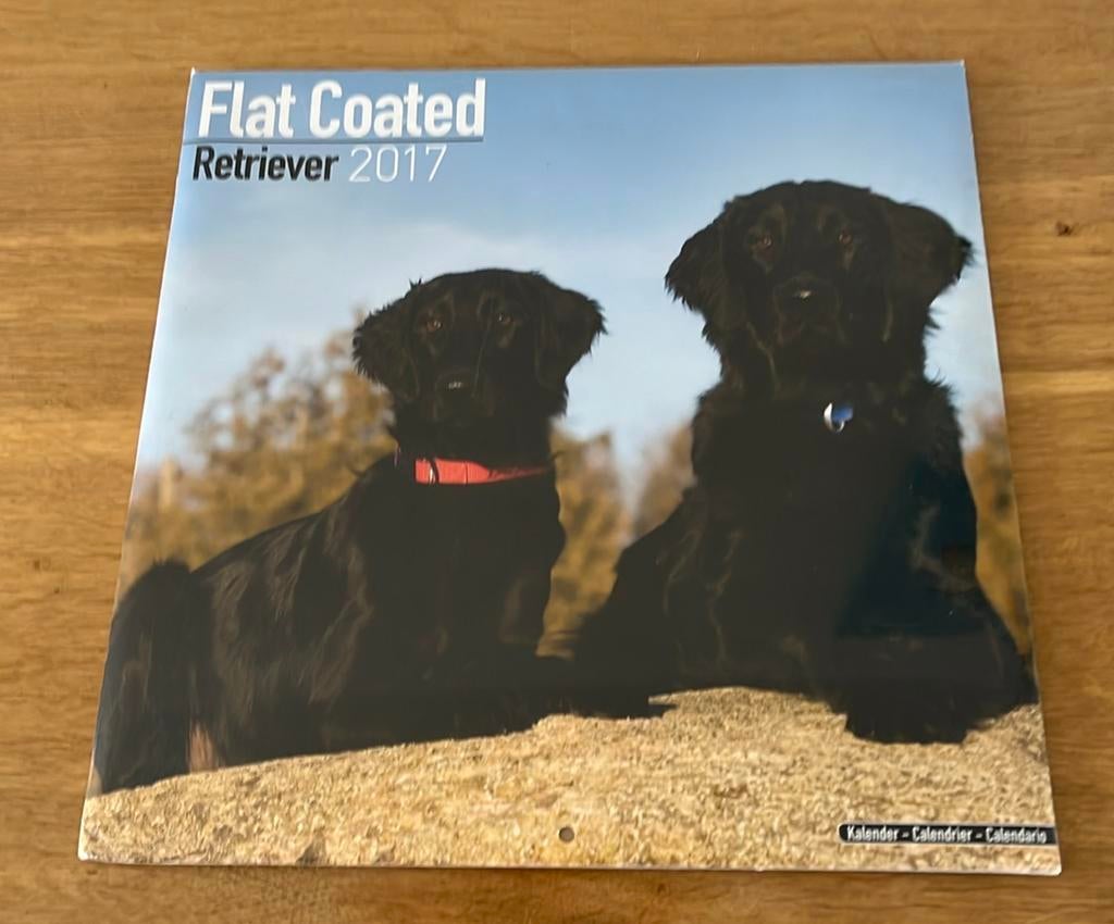 Kalender 2017 Flatcoated Retriever (nog in plastic), Ophalen of Verzenden, Maandkalender, Zo goed als nieuw
