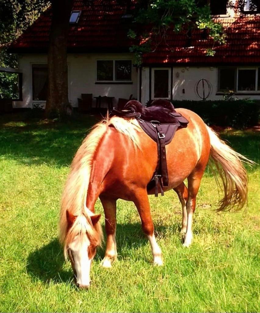 Buckyou barebackpad (geen shims) maat pony te koop, Ophalen of Verzenden, Recreatie