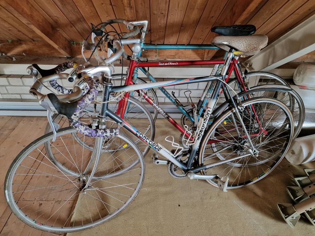Vintage racefietsen: Gazelle, Concorde, Peugeot, Fietsen en Brommers, Fietsen | Racefietsen, Ophalen