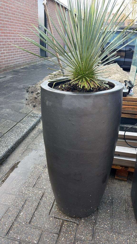 Tuin potten, Tuin en Terras, Bloempotten, 25 tot 40 cm, Overige materialen, Rond, Ophalen of Verzenden