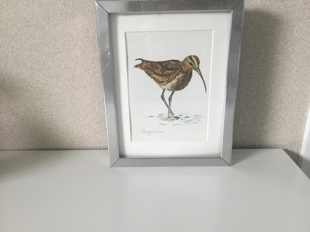 Vogeltjes, Ophalen of Verzenden