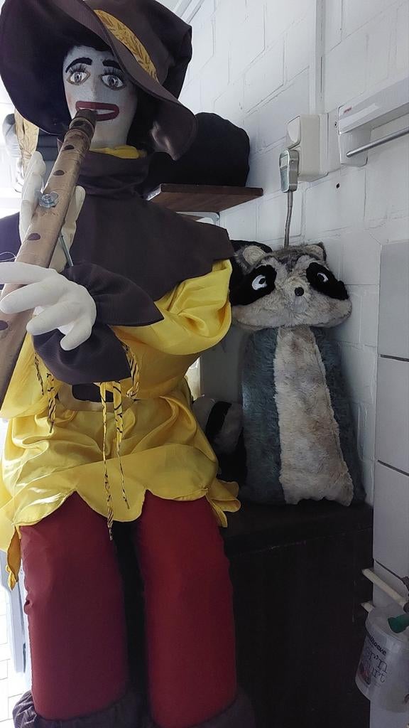 Rattenvanger van Hamelen!!!, Ophalen of Verzenden