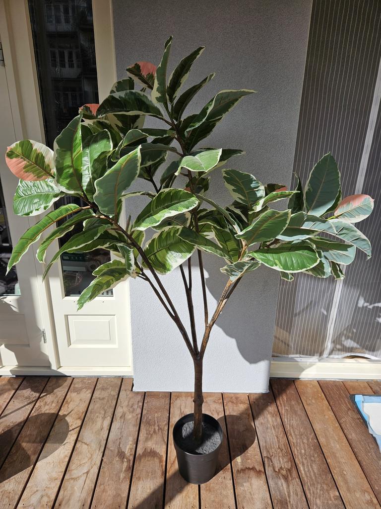 IKEA Artificial Rubber Plant in Woven Basket – Large, Ophalen, Rond, Zo goed als nieuw, 60 tot 100 cm