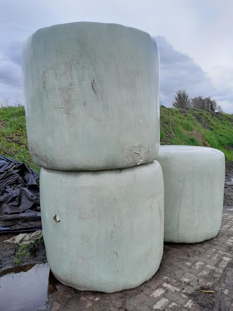 Grote rondehooibalen, Dieren en Toebehoren, Dierenvoeding, Ophalen of Verzenden, Vee