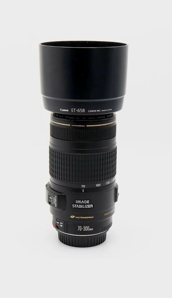 Canon EF 70-300mm f/4-5.6 IS USM lens, Audio, Tv en Foto, Fotografie | Lenzen en Objectieven, Ophalen of Verzenden