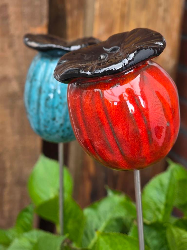 6 papaverbol keramiek, Ophalen of Verzenden