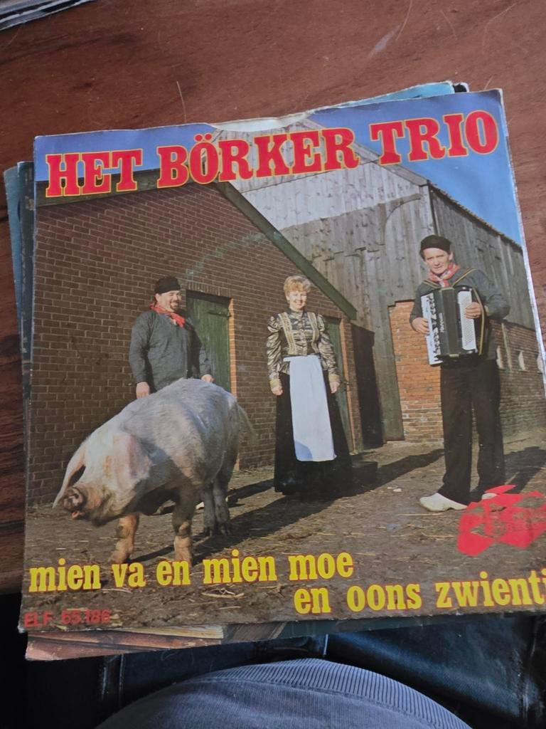 Het Börker Trio - Mien Va En Mien Moe En Oons Zwientie LP, Ophalen of Verzenden