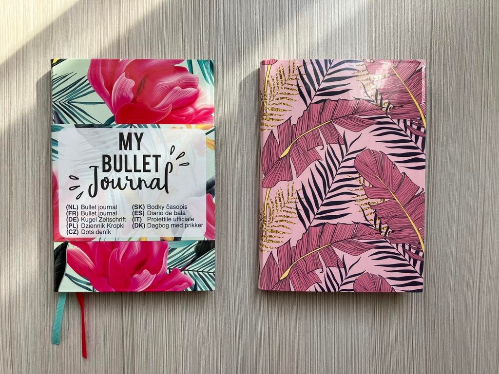 A6 Bullet journals, Ophalen of Verzenden, Nieuw, A6