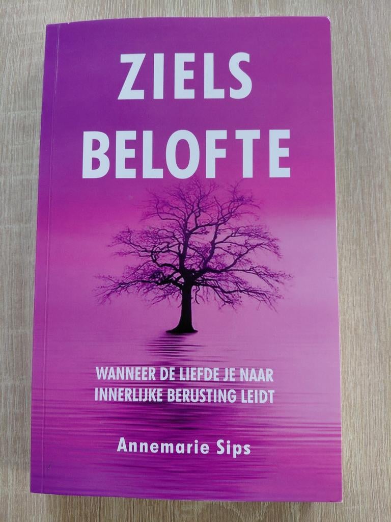 Annemarie Sips - Zielsbelofte, Achtergrond en Informatie, Ophalen of Verzenden, Zo goed als nieuw, Annemarie Sips