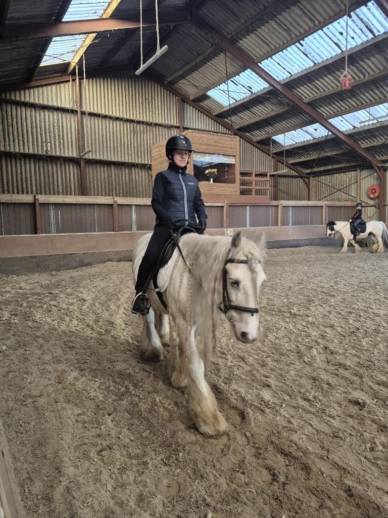 Verzorger aangeboden/ Verzorg pony gezocht, Ophalen of Verzenden, Overige soorten