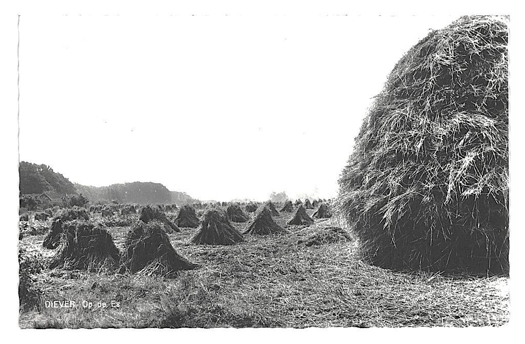 991018	Diever	Drenthe	1968	_Gelopen met mooie zegel, Ophalen of Verzenden, 1960 tot 1980, Gelopen, Drenthe