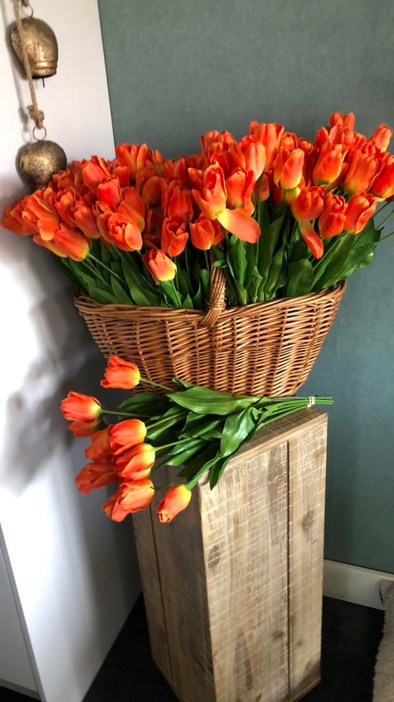Tulpen, Ophalen of Verzenden, Zo goed als nieuw