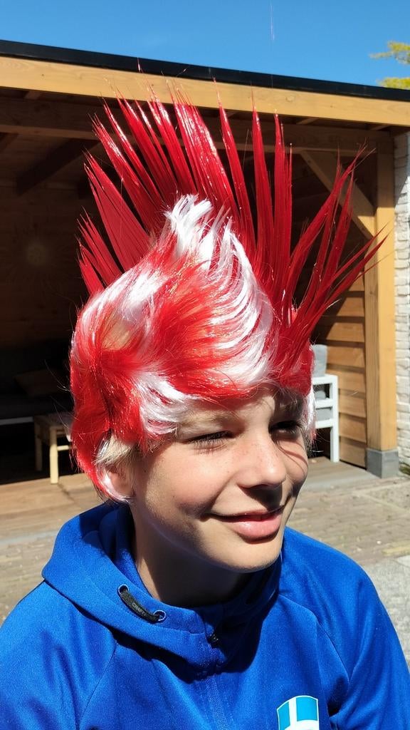 Pruik Hanenkam Carnaval, Ophalen of Verzenden, Nieuw, Hoed of Pruik, Overige