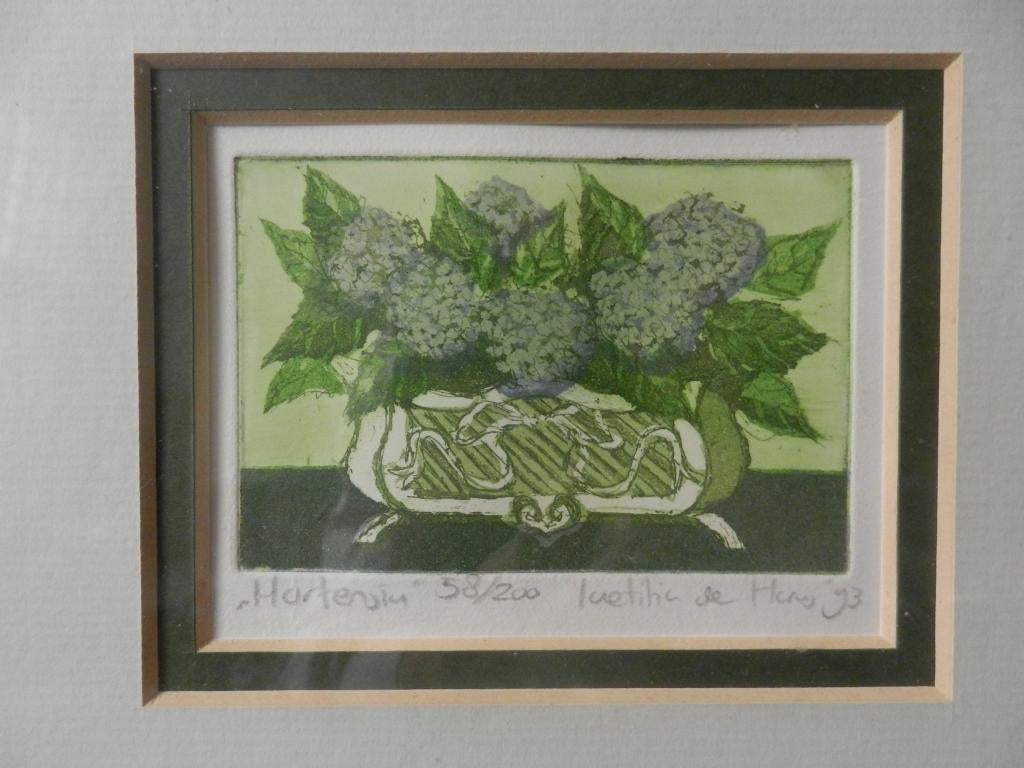 Leuke kleurenets Hortensia jardiniere Laetitia de Haas 1993, Antiek en Kunst, Kunst | Etsen en Gravures, Ophalen of Verzenden