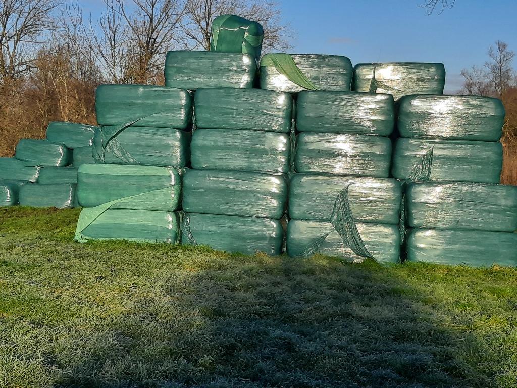 hooi luzerne kuil pakken, Zakelijke goederen, Agrarisch | Veevoer, Ophalen