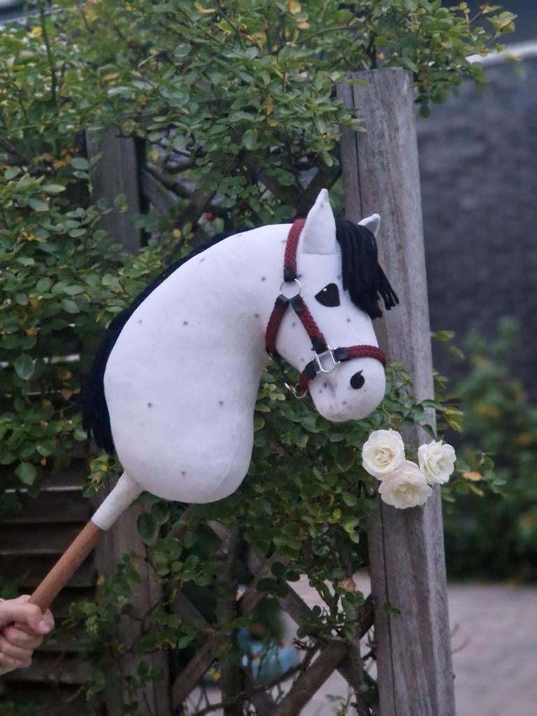 ❗ AANBIEDING ❗TSW hobbyhorse tekoop!, Ophalen of Verzenden, Zo goed als nieuw