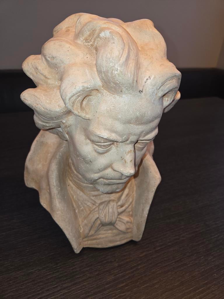 Beethoven Buste, Ophalen of Verzenden, Gebruikt, Mens