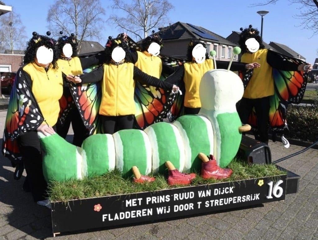 Loopgroep carnaval, Kleding | Dames, Carnavalskleding en Feestkleding, Ophalen, Gedragen, Carnaval, Accessoires