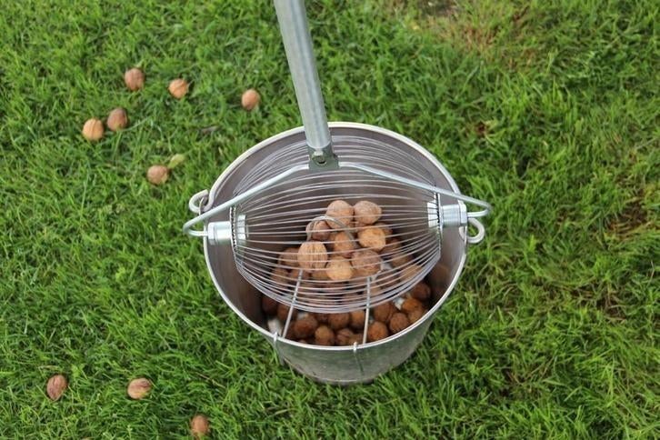 Noten raper - notenrol, Ophalen of Verzenden, Zo goed als nieuw