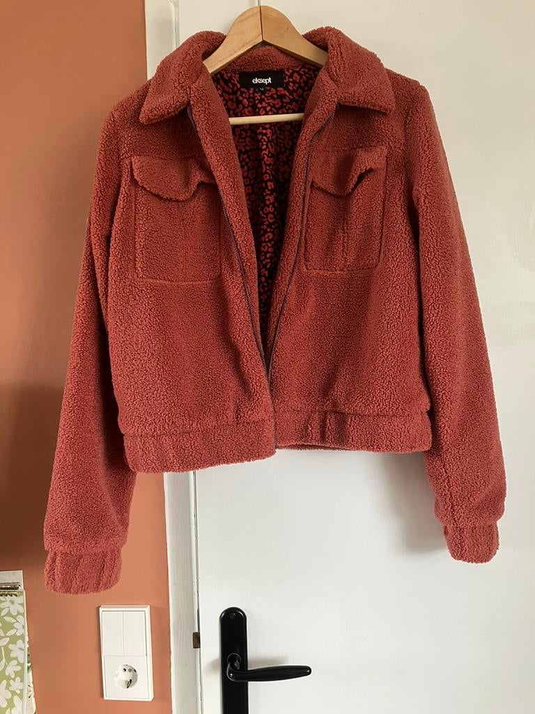 Teddy bont jasje winter voorjaar roze, Ophalen of Verzenden, Zo goed als nieuw, Maat 38/40 (M), Roze