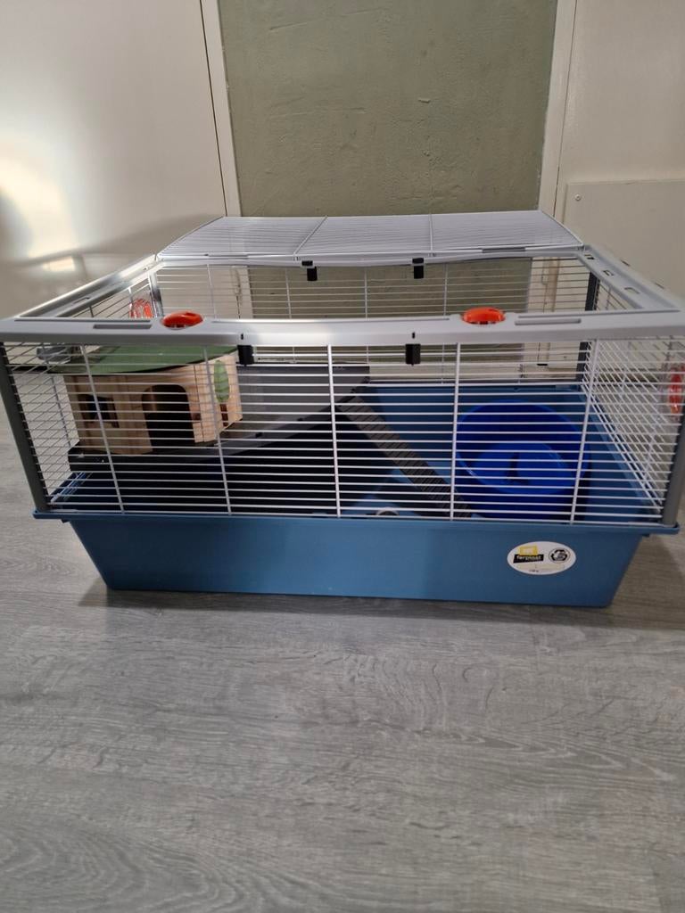 Grote hamsterkooi 50/80/40, Ophalen, Minder dan 75 cm, Kooi, Minder dan 60 cm