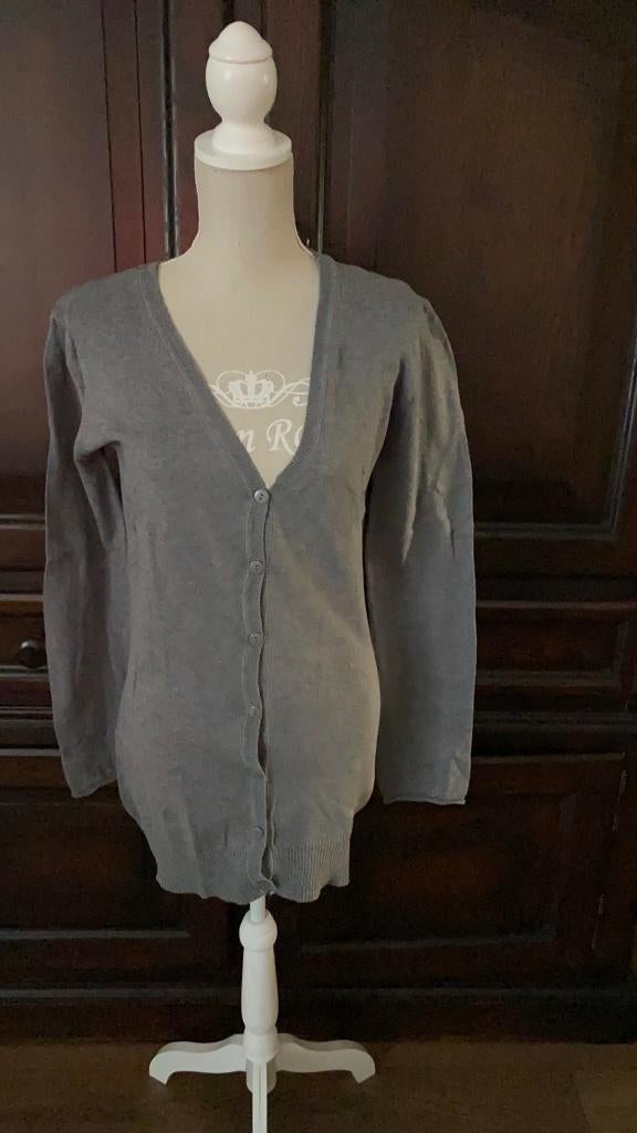 Vest Grijs Maat M, Ophalen of Verzenden, Zo goed als nieuw, Maat 38/40 (M), Grijs