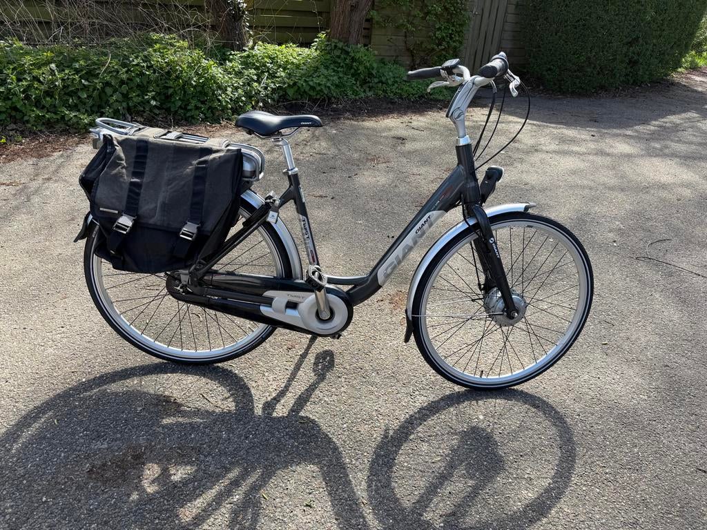 Giant Twist Lite elektrische fiets - keurige staat, Ophalen, Gebruikt, Giant, 51 tot 55 cm