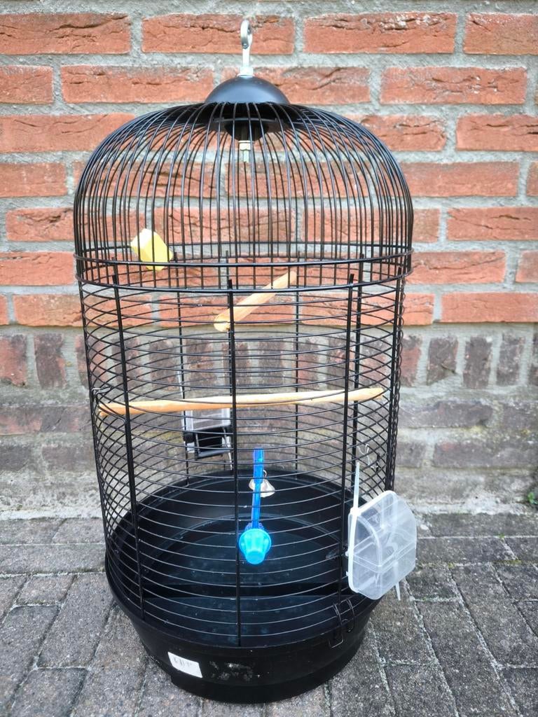 Vogelkooi, Ophalen, Metaal, Vogelkooi