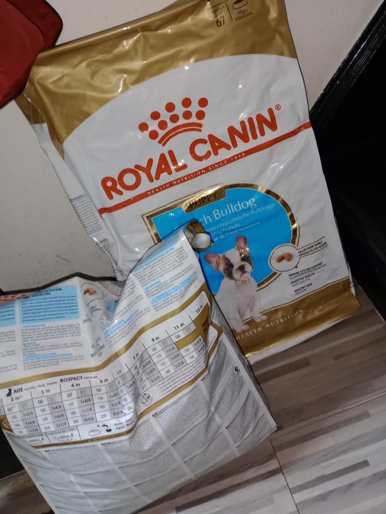 Puppy Franse Bulldog voer, Ophalen, Hond