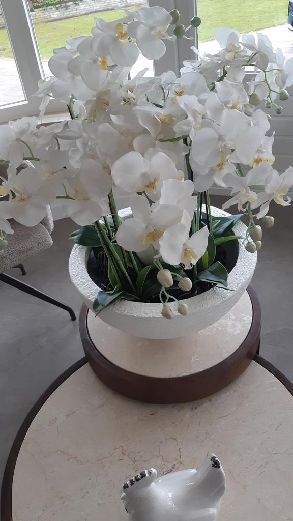 Pot met orchideeën., Ophalen, Zo goed als nieuw