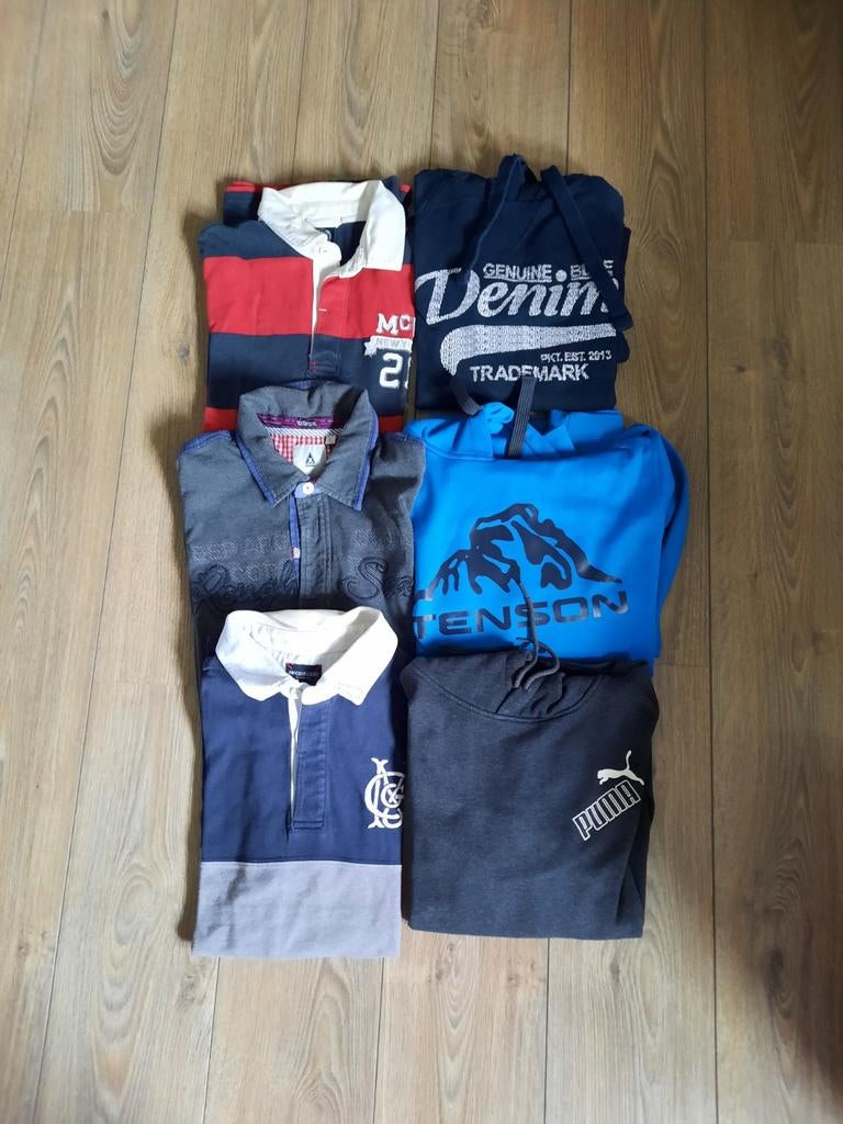 Polotruien en hoodies heren, maat L, Ophalen of Verzenden, Overige kleuren