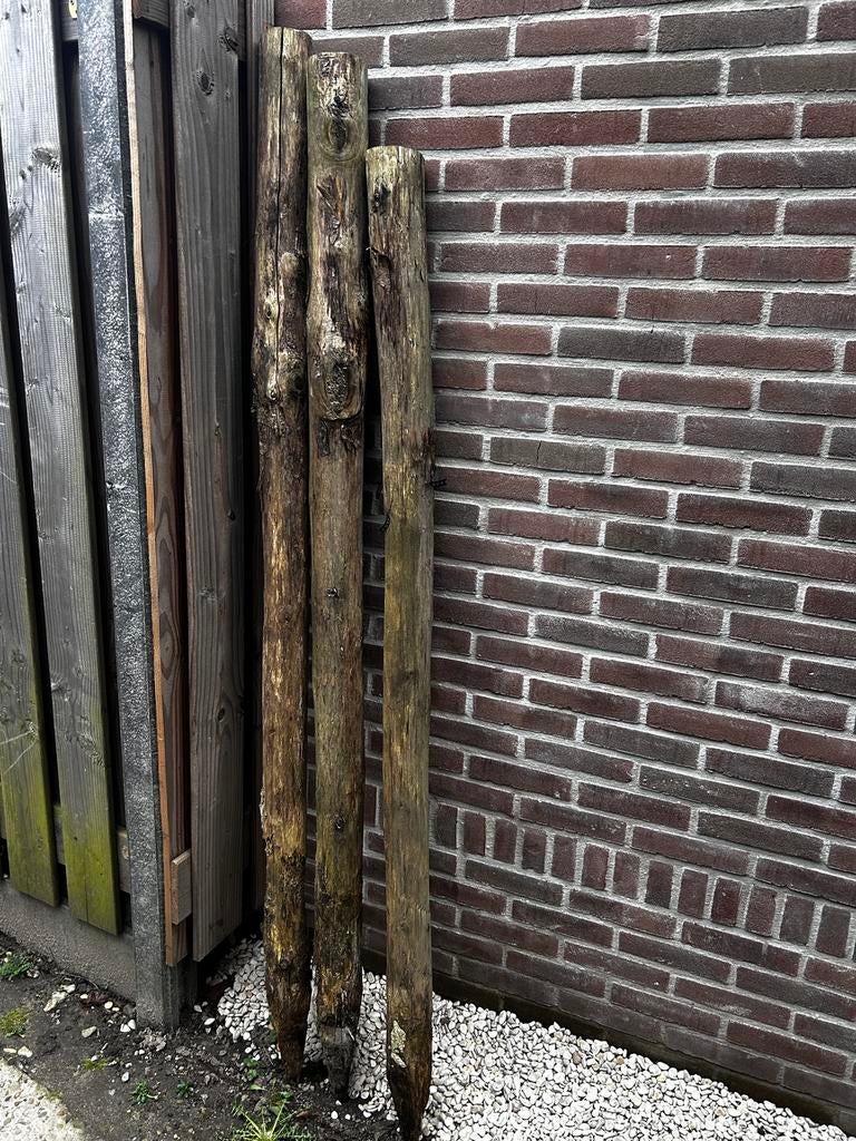 3 palen kastanjehout 180 cm, Ophalen, Gebruikt, 180 tot 250 cm, Palen