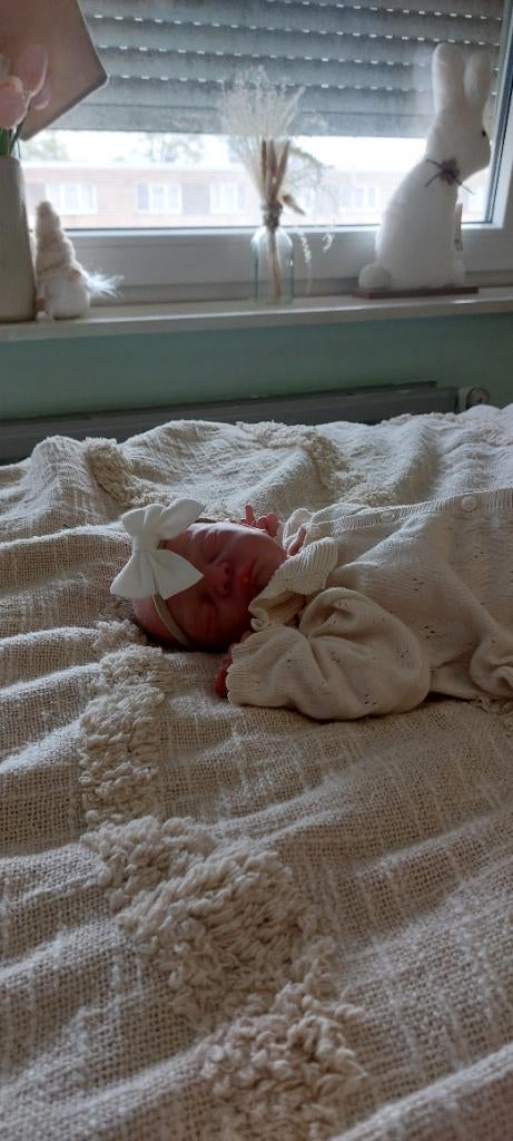 Reborn mick alsleep, Ophalen of Verzenden, Zo goed als nieuw, Pop