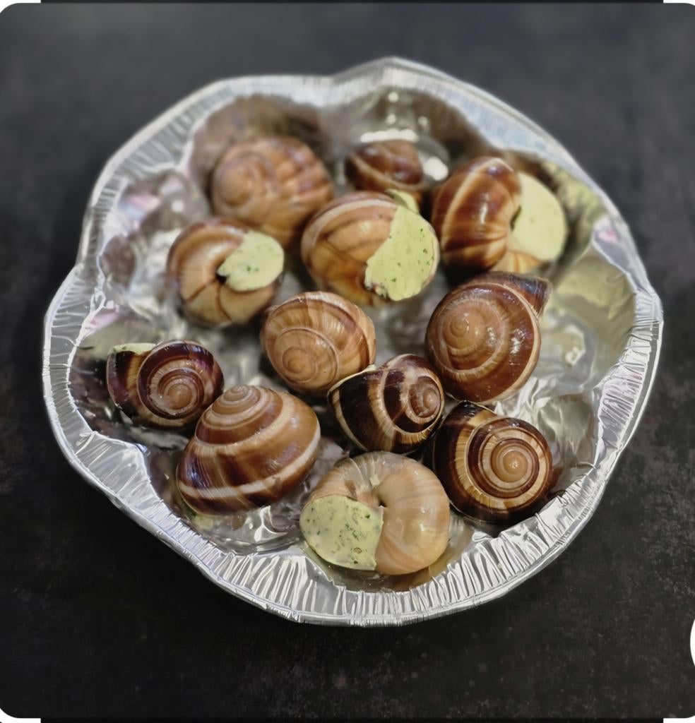 Gezocht... deze slakkenhuizen, Ophalen, Materiaal