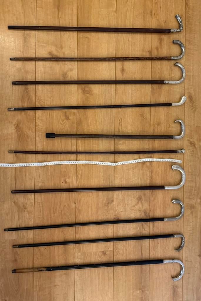 Wandelstok verzilverd luxe en zeldzaam, Ophalen of Verzenden, Zo goed als nieuw