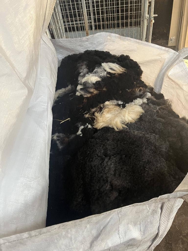 schapenwol gratis, Ophalen, Spinwol