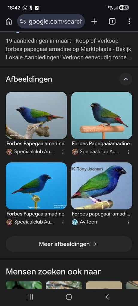 Gezocht  een pop, Vrouwelijk