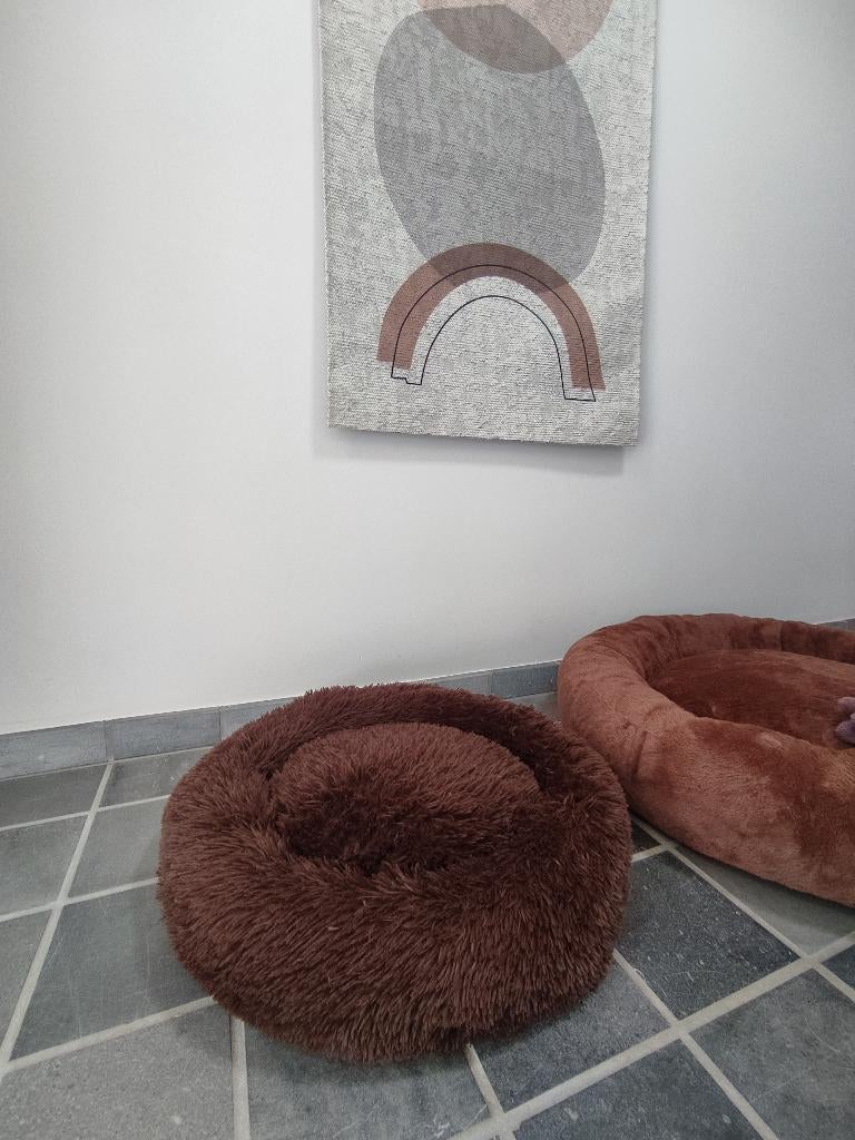 Honden mand, Ophalen of Verzenden, Zo goed als nieuw, Riet