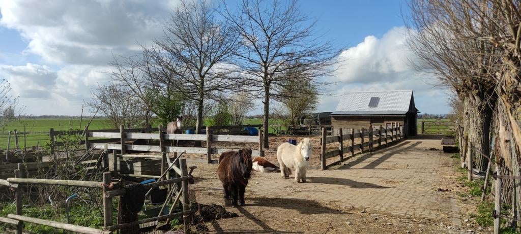 Plek op kleinschalige Paddock paradise, Dieren en Toebehoren