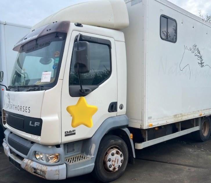 Vrachtwagens gezocht!, Auto's, Bedrijf, Diesel, DAF, Te koop