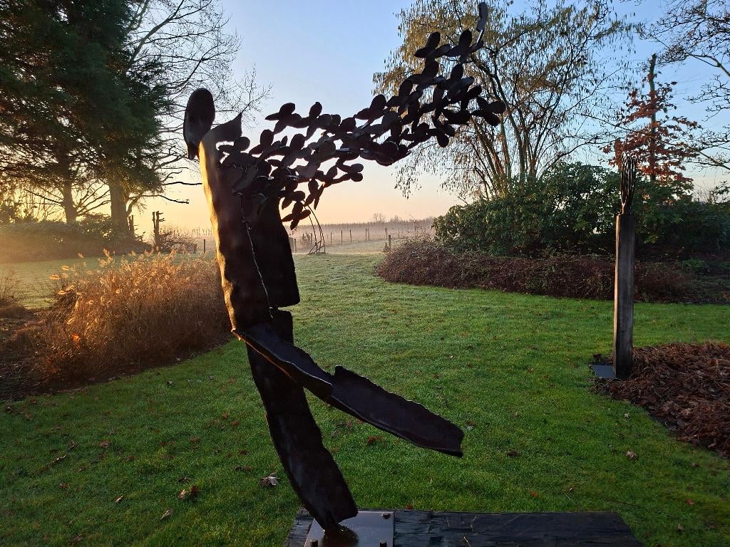 robuuste, stoere tuinbeelden met een natuurlijke uitstraling, Ophalen of Verzenden