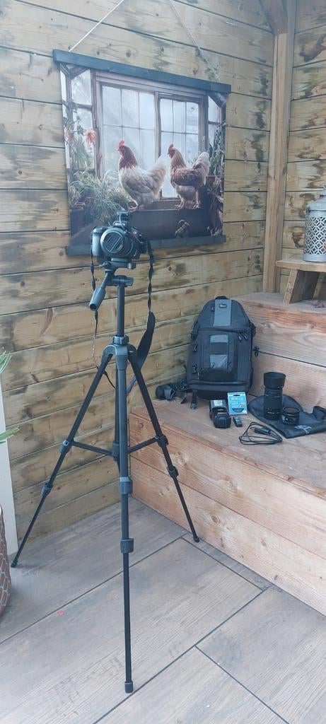 Sony Alpha 300 spiegelreflexcamera, Ophalen