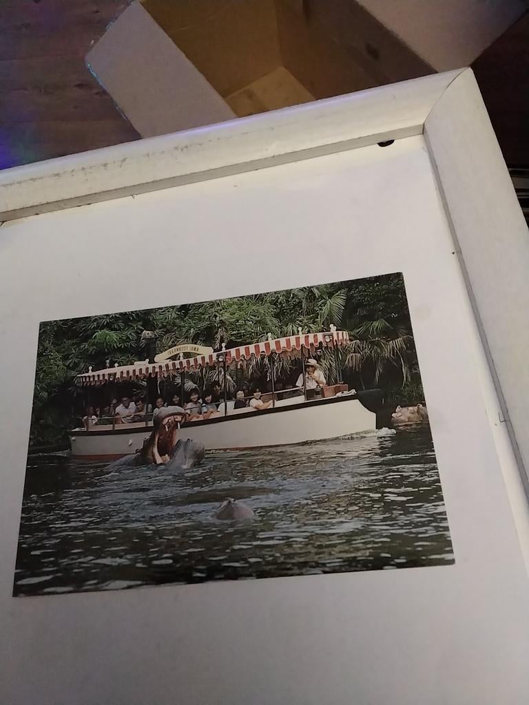 JUNGLE CRUISE, Ophalen of Verzenden