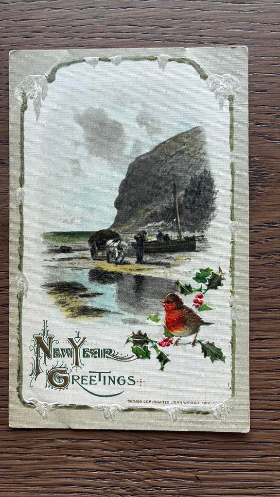 Nieuwjaarsgroet. Reliëf. Roodborstje, hulst. Zee,bergen, Ophalen of Verzenden, Voor 1920, Overige thema's