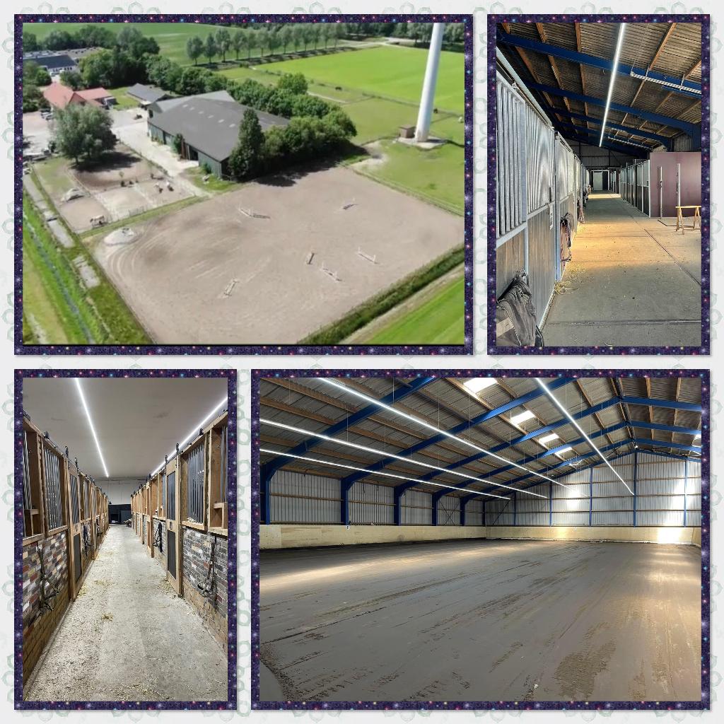 Stallen beschikbaar op een gezellige stal, Stalling, 2 of 3 paarden of pony's