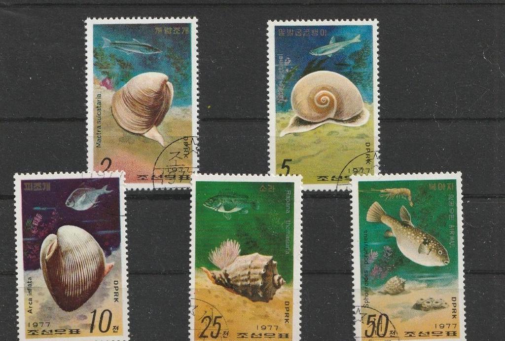 Schelpen (MP3), Verzenden, Gestempeld, Dier of Natuur