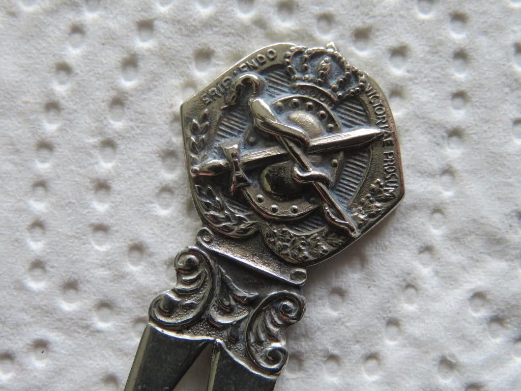 Militaria Lepeltje Embleem Regiment Geneeskundige Troepen, Verzenden, Zo goed als nieuw, Overige materialen, Bestek